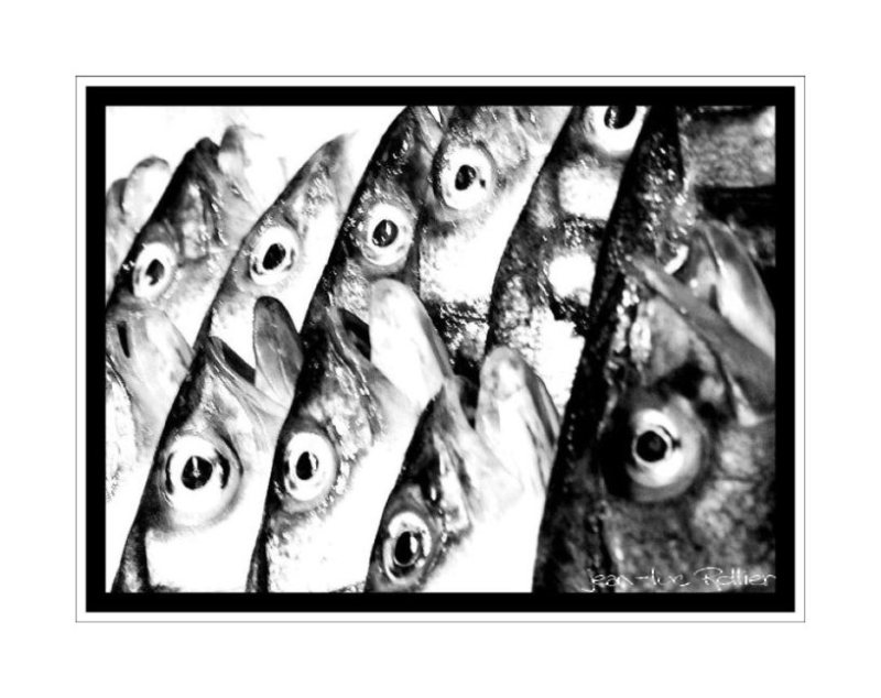 Fish eye.
