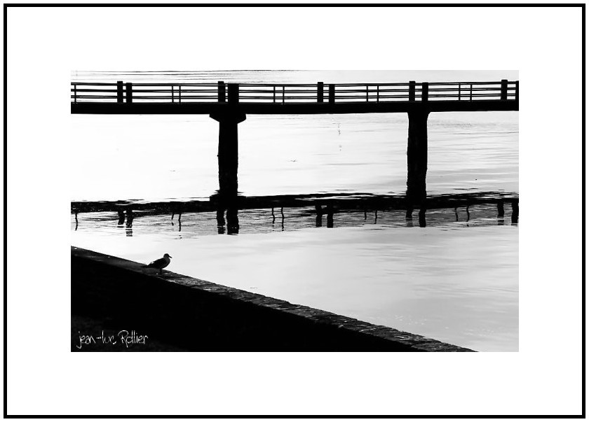 Bridge Water.