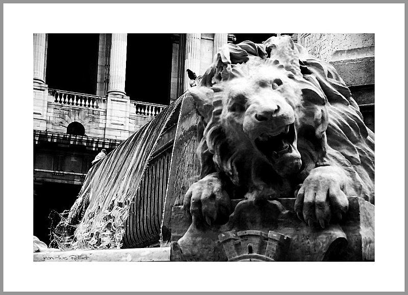 Roaring water.