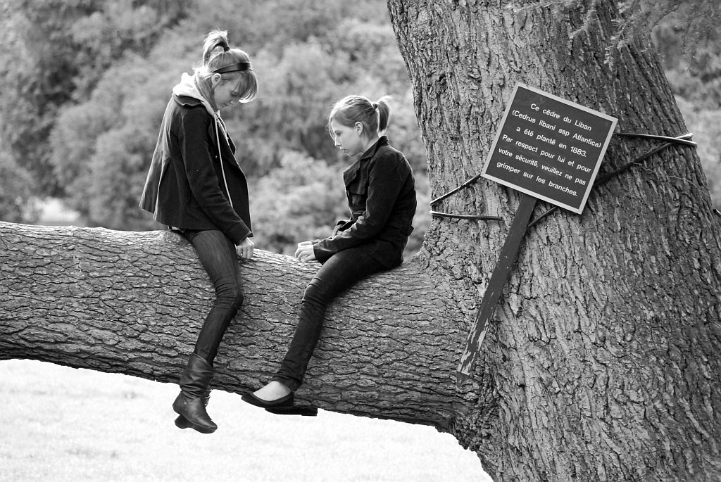 Disobedience.