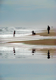 Hamptons