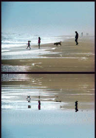 Hamptons Beach