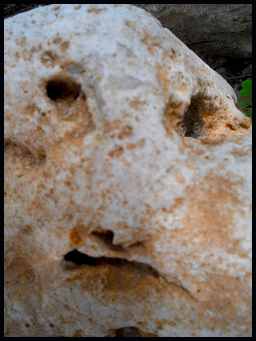 stoneface2 copy.jpg