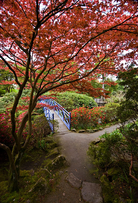 25_May_09<br>Johnston Gardens