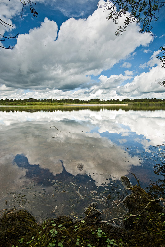 13_June_09<br>Loch Davan