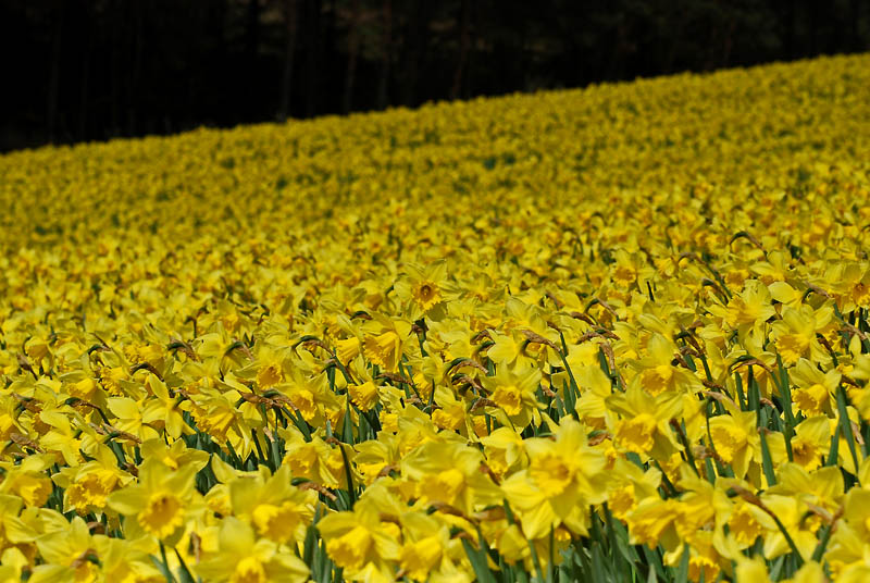 24_April_2008_001.jpg