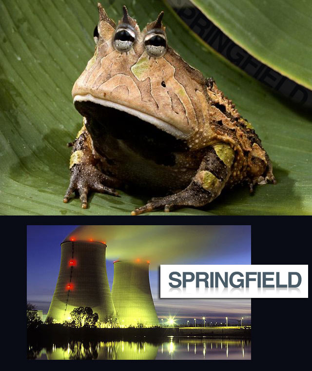 springfield