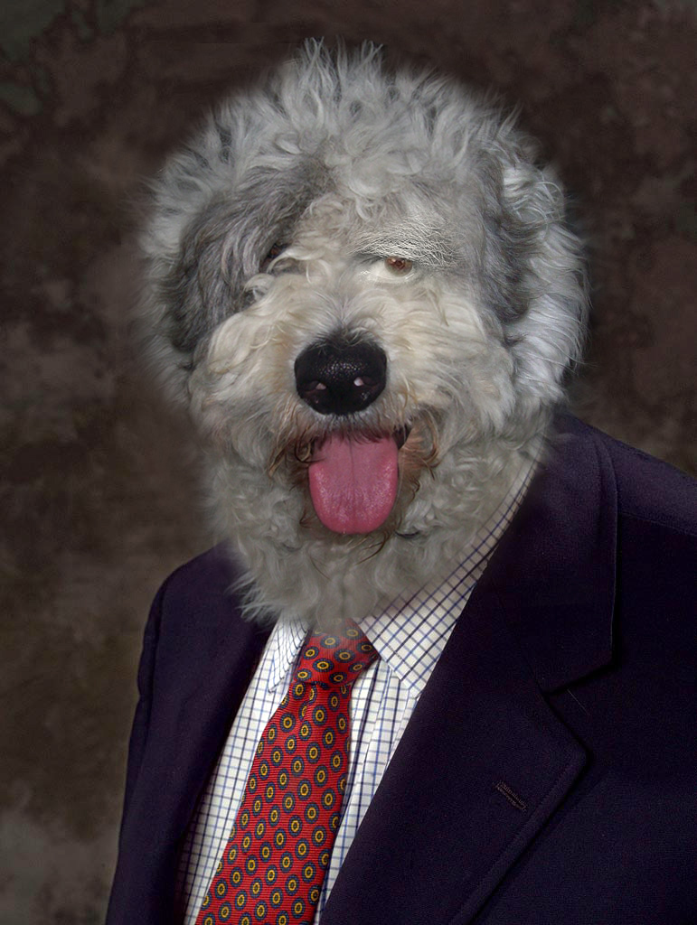 rooneydog