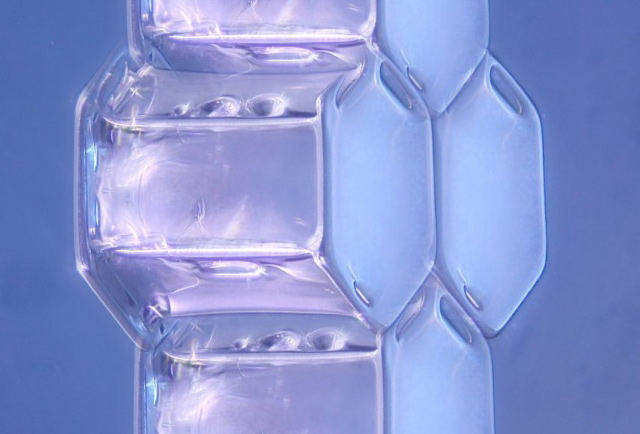 crystal.jpg