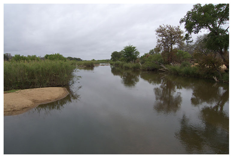 Sabie river