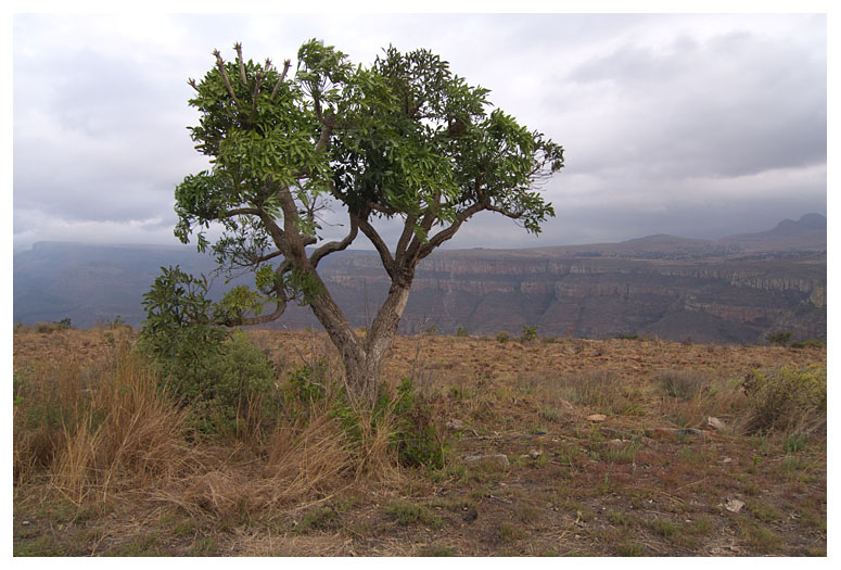 Mpumalanga