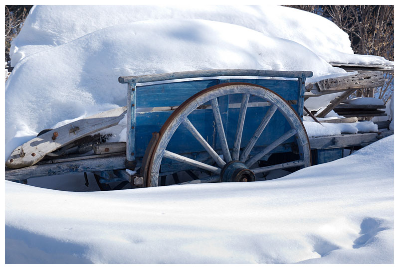 winter