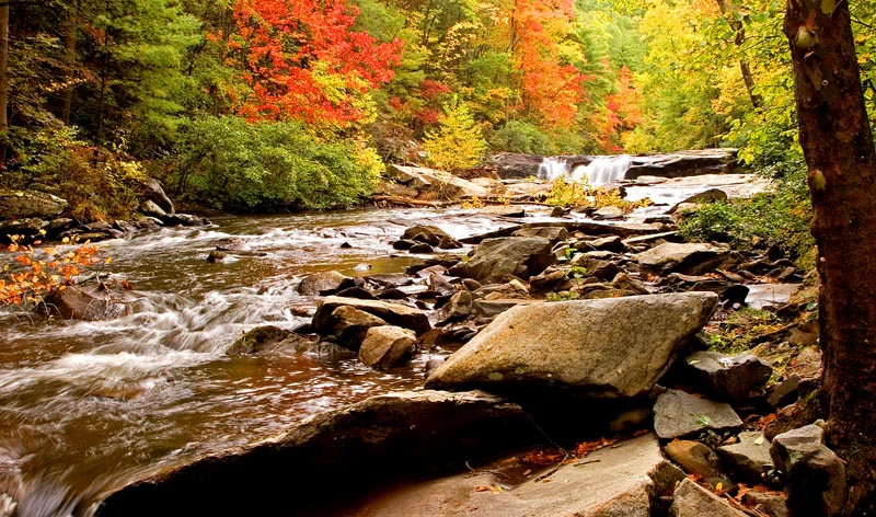 Baby Falls