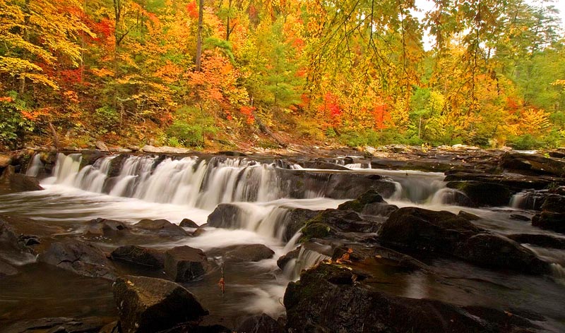 Tellico River