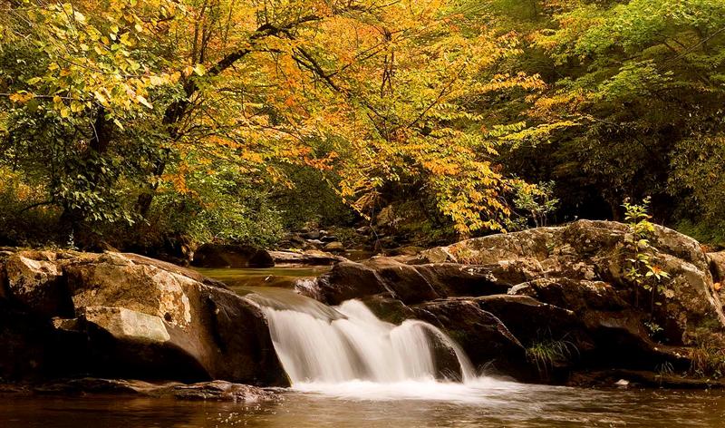 Tellico River