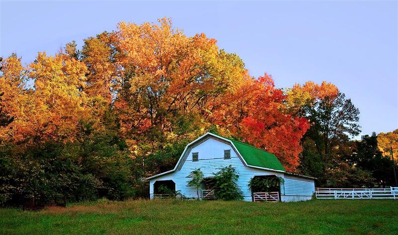  Tellico Plains