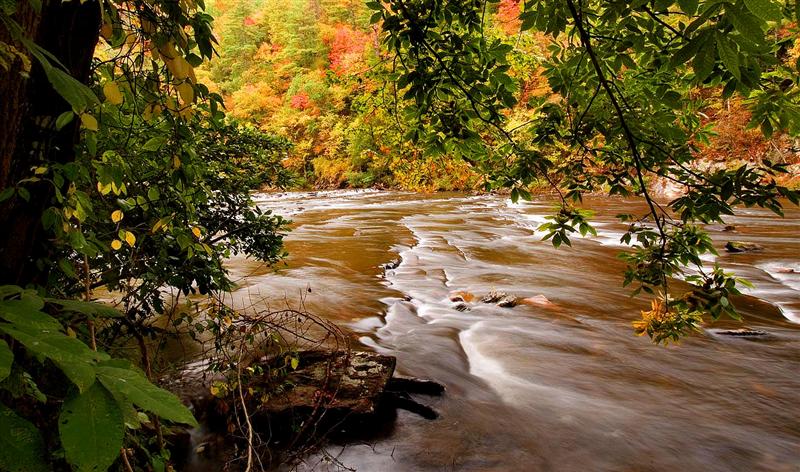  Tellico River