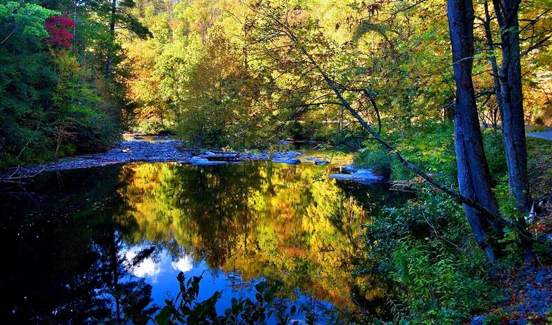  Tellico River