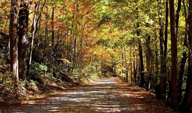 Middle Prong Road