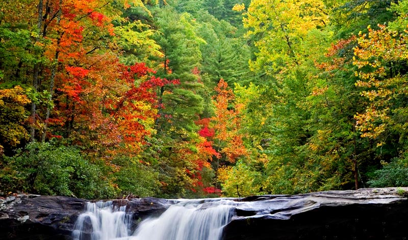  Tellico River