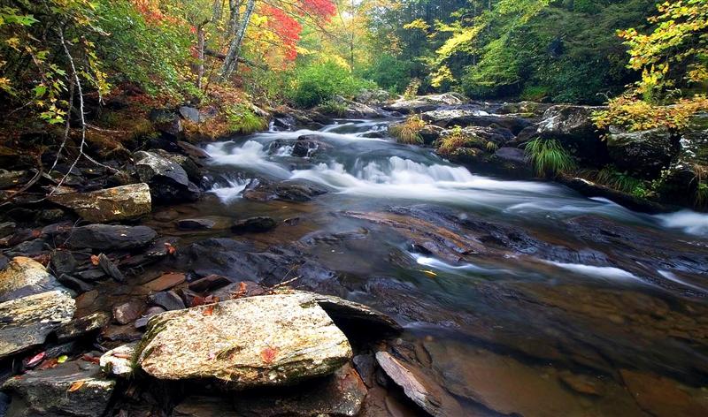  Tellico River