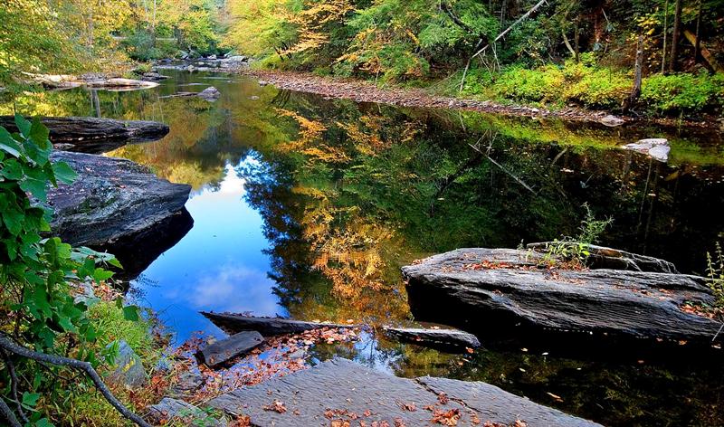  Tellico River