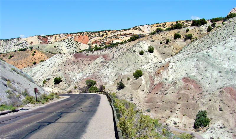 Dinosaur NM