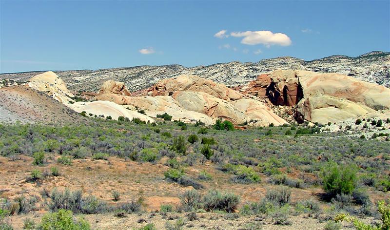Dinosaur NM