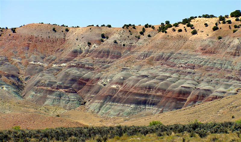 Dinosaur NM