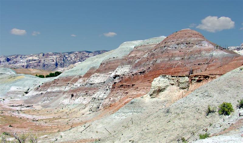 Dinosaur NM