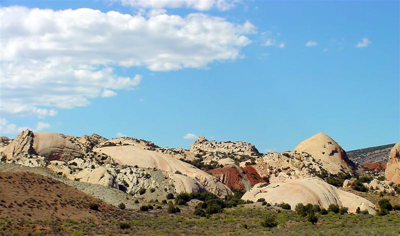 Dinosaur NM