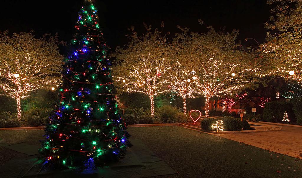 Florida Botanical Gardens