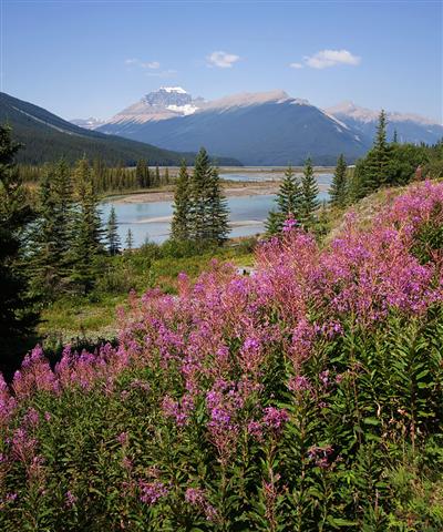 Icefields Parkway