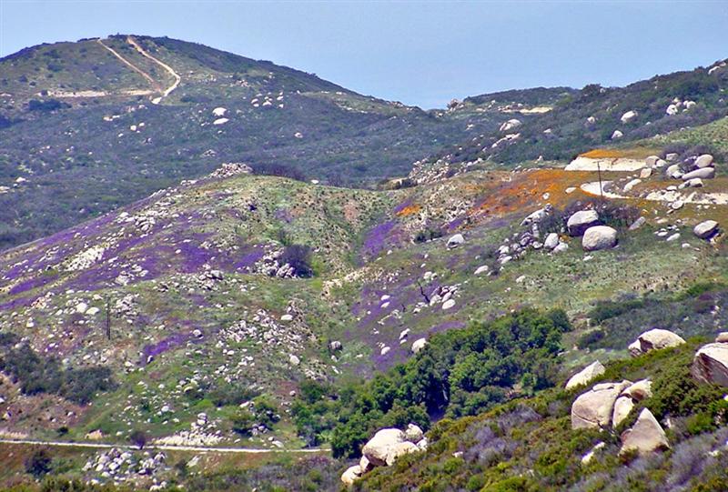 Santa Rosa Mountain Road