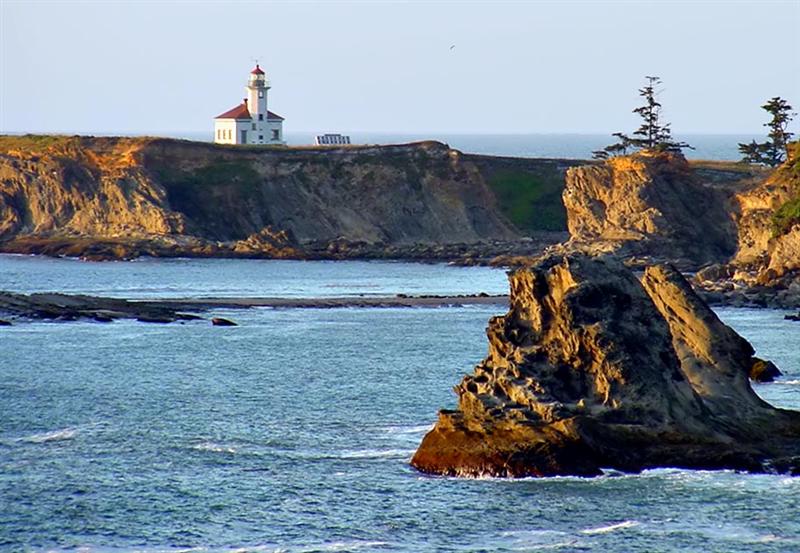 Cape Arago