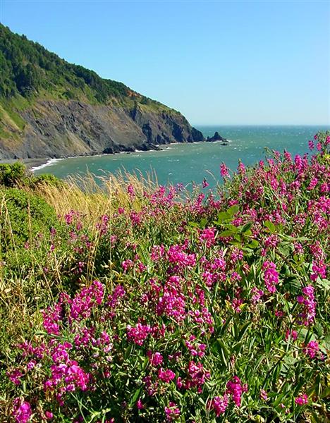 Port Orford