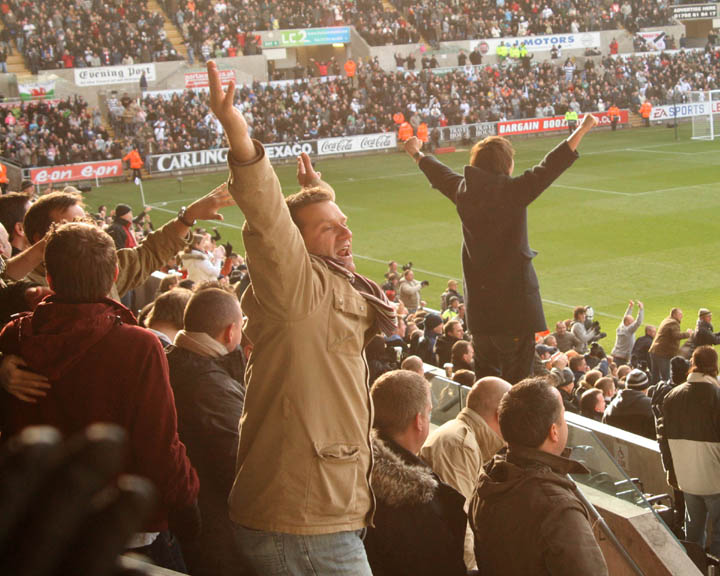 Swans Fans