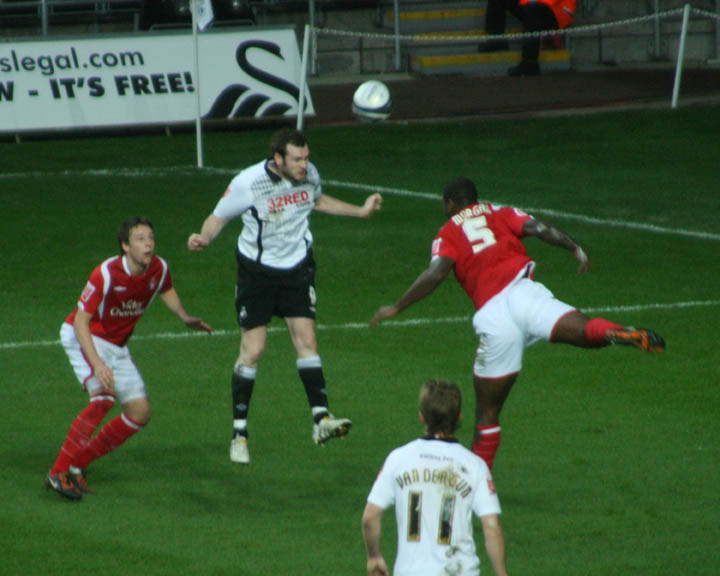 Beattie Header