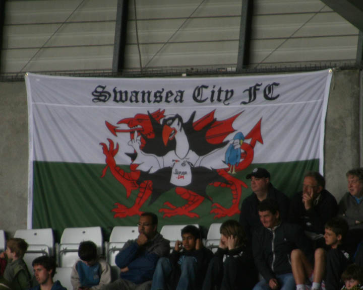 Swansea Flag