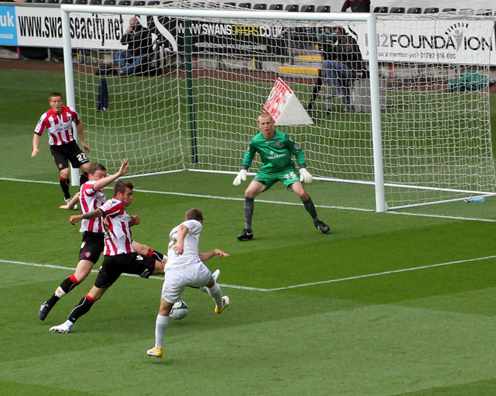 Borini Shot