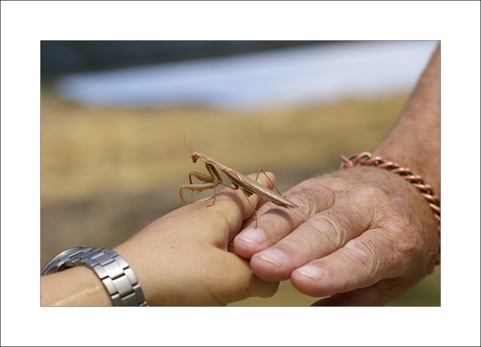 From one hand to another