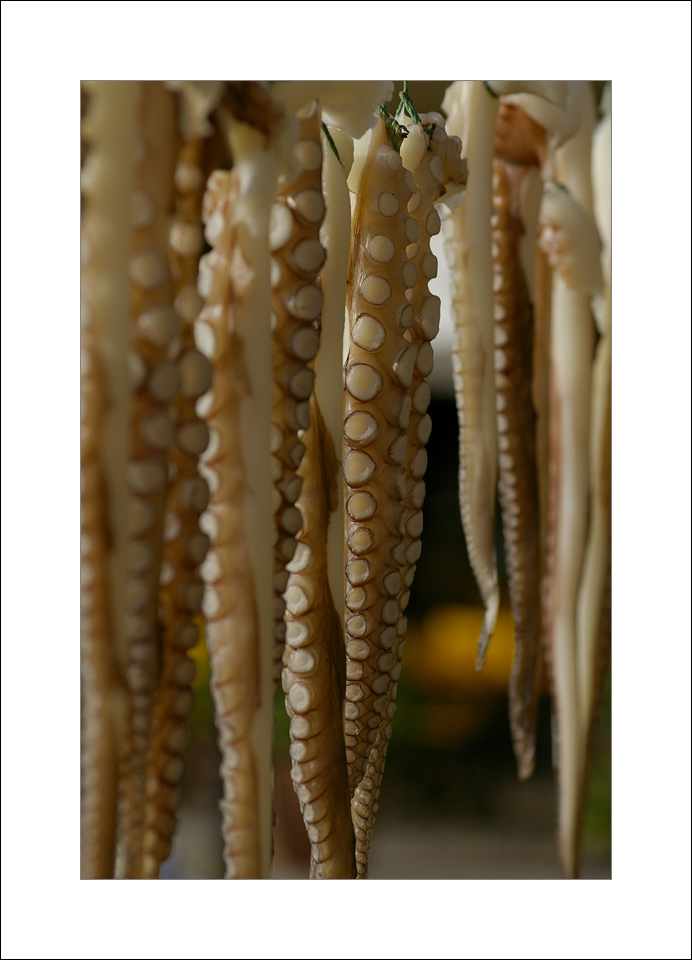 Octopus someone?