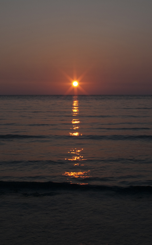 _IGP1267.jpg