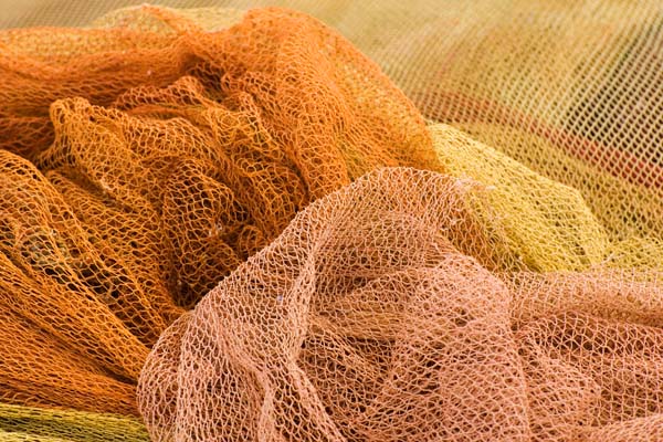 The Colour of Nets