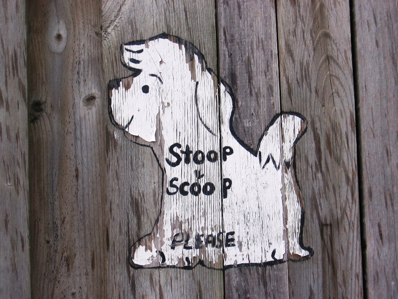 IMG_0054 whimsy stoop scoop.JPG