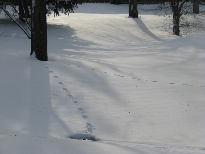 IMG_6176.JPG