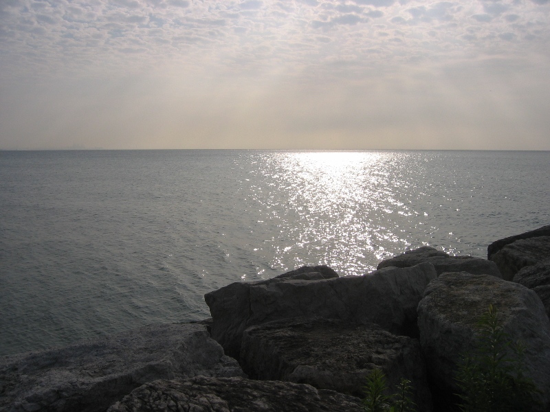 IMG_8481.JPG