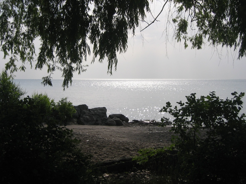 IMG_8708.JPG
