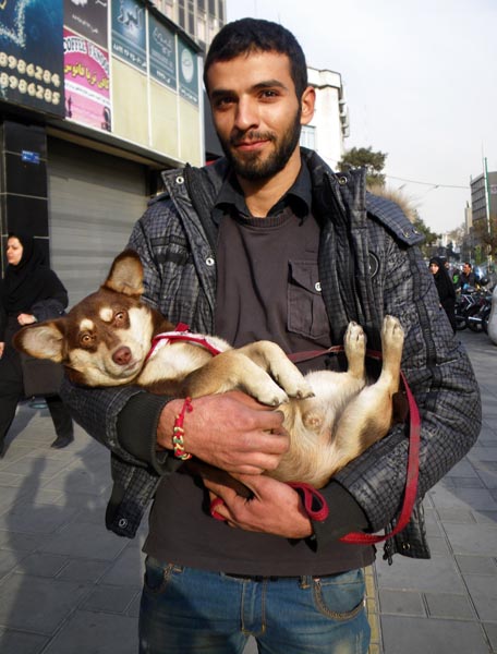 Arash Holding Yashar