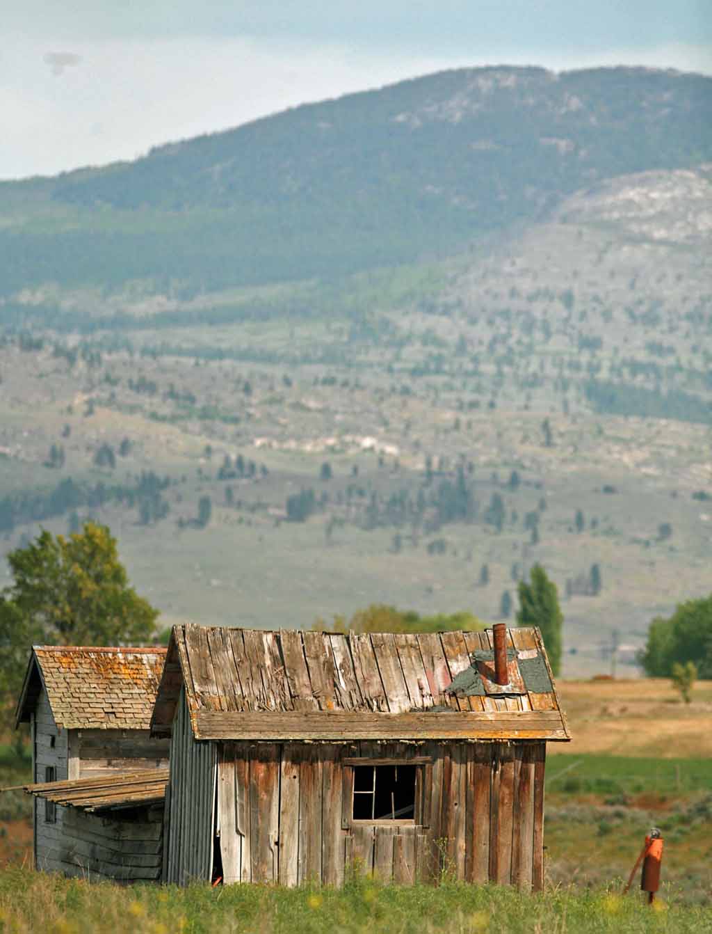 Old Omak  Pickers Cabins  Near Apple Orchard